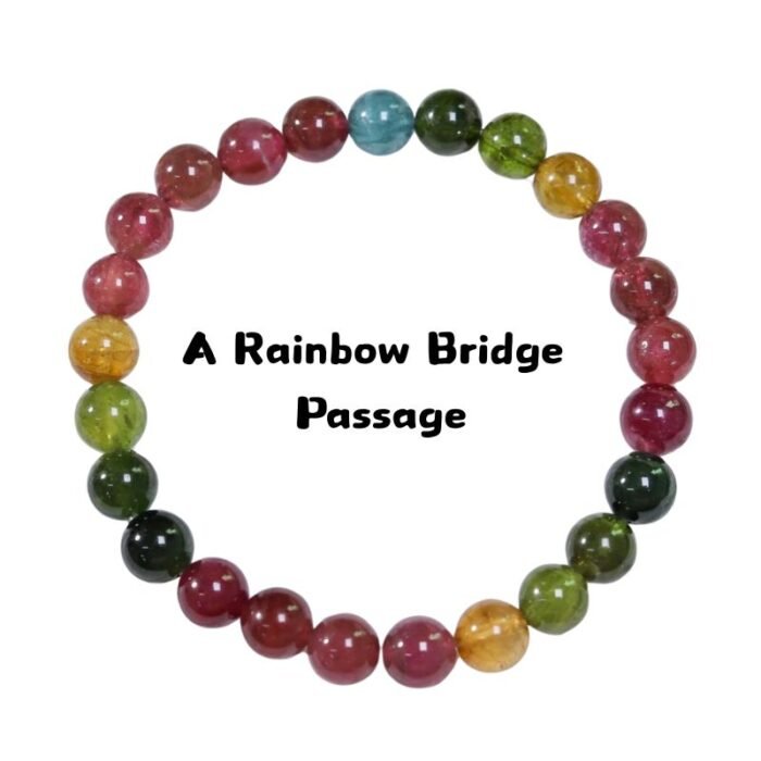 5 Rainbow Bridge Remembrance Bracelet - A Tribute to Your Beloved Pet