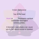 Violet Crown Chakra Rainbow Bridge Bracelet – Pet Memorial Jewellery | Best Gift for Bereaved Pet Owners - Image 10