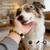Personalized shetland sheepdog memorial bracelet with natural stone beads, a keepsake to remember your beloved pet.