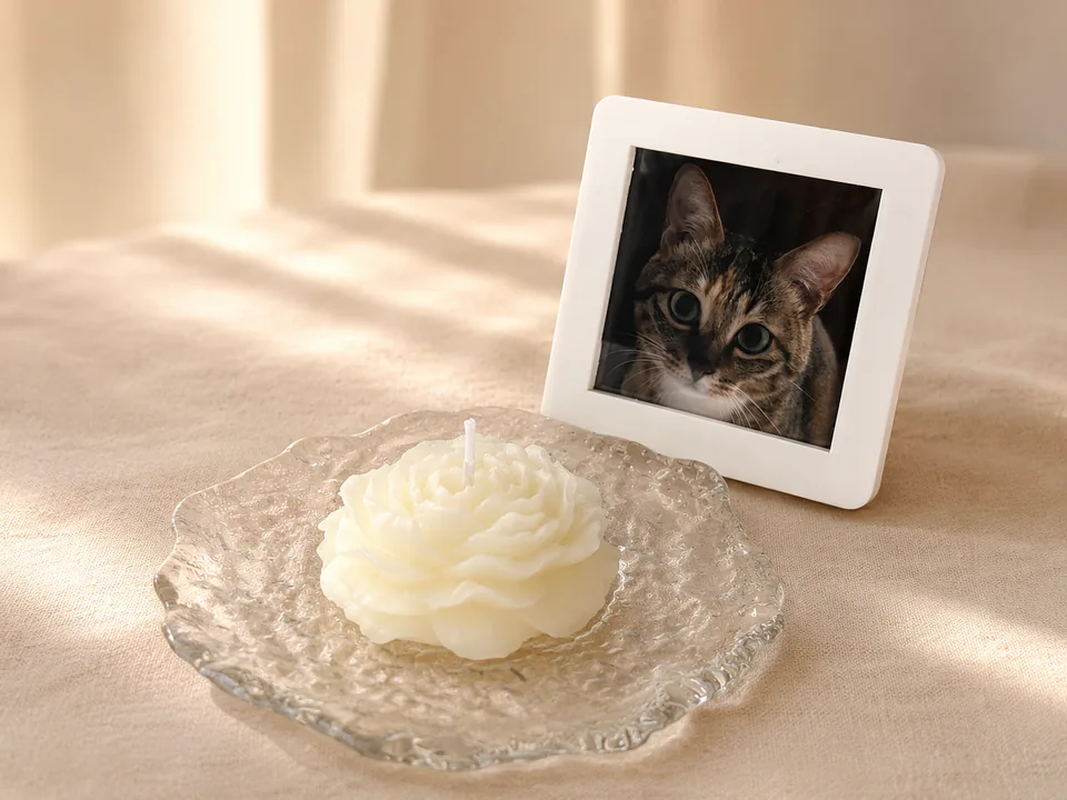 Candle and optional framed cat photograph arranged for a quiet pet remembrance